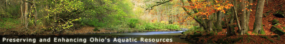 Ohio Stream Preservation