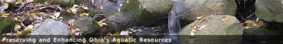 Ohio Stream Preservation