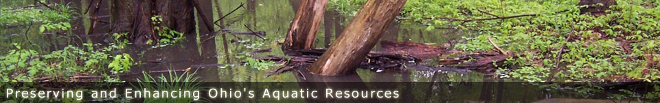 Ohio Stream Preservation