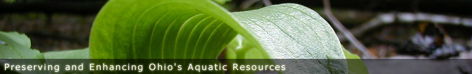 Ohio Stream Preservation