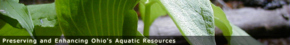 Ohio Stream Preservation