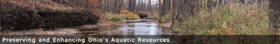 Ohio Stream Preservation