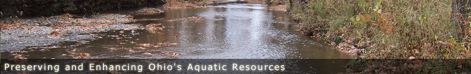 Ohio Stream Preservation